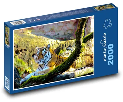 Produktbild von Puzzle 2000 Tiger im tropischen Dschungel - martinpuzzle