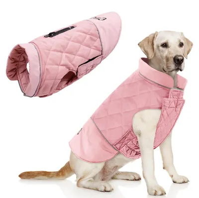 Imagen del producto de Chaqueta impermeable para perros de tamaño pequeño y mediano