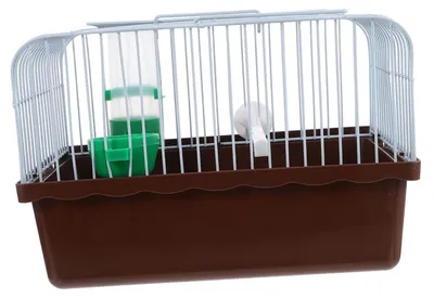 Produktbild von Tragbarer Vogelkäfig mit Sitzstange, Futterbox und Trinkflasche für Papageien und kleine Vögel