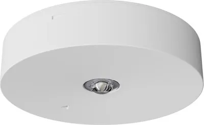 Produktbild von LED-Notleuchte, AX3N Einzweck-1W 1h Straßenoptik, weiß, IP20