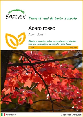 Immagine prodotto di SAFLAX  - Acero rosso  - 20 semi - Acer