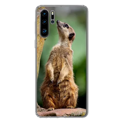 Produktbild von MuchoWow® Handyhülle Schutzhülle Hülle für Huawei P30 Pro Erdmännchen - Tier - Rock Silikon Softcase Handy Hülle - Schutzdeckel