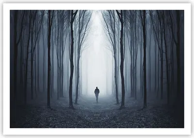 Produktbild von Poster - Poster ohne Rahmen - Charakter Wald Einsamkeit - 100x70 cm - Wand Bild - Wanddeko - Wandbilder - Kunstposter - Wandposter - Bilder - Kunstdruck - Wanddekoration - Wandbild - P2XAA100x70-4142