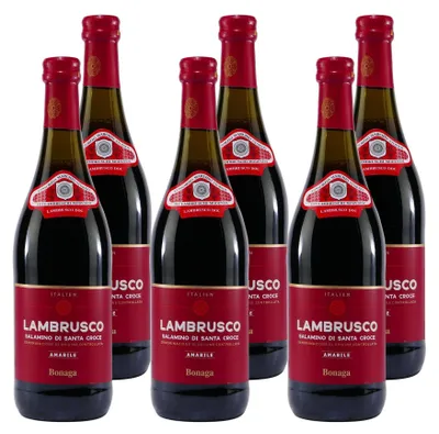 Produktbild von Bonaga Lambrusco DOC -lieblich- (6 x 0,75L)