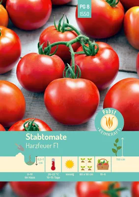 Artikelbild 1 von 'Stabtomate Harzfeuer F1' aus der Kategorie Stabtomatensamen