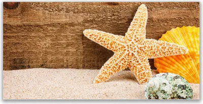 Produktbild von Tulup Leinwand-Bilder 120x60 Wandbild Canvas Kunstdruck Sand Seestern Muscheln Kunst
