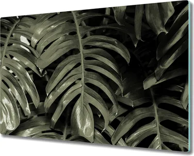 Produktbild von Glas Schneidebrett Herdabdeckplatten Schneideplatten - 80x52 cm - Blatt Tropische