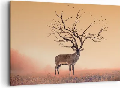 Produktbild von Bild auf Leinwand - Leinwandbild - Hirsch Baum Nebel Wald - 120x80cm - Wand Bild - Wanddeko - Leinwanddruck - Bilder - Kunstdruck - Wanddekoration - Leinwand bilder - Wandkunst - AA120x80-3127