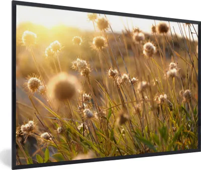 Produktbild von MuchoWow® Gerahmtes Poster Pflanzen - Natur - Blumen - Sonne - Horizont 90x60 cm - Poster mit Schwarzem Bilderrahmen Wandposter Rahmen Foto Bilder - Fotorahmen - Foto-Plakat