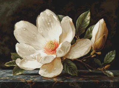 Obrázek produktu pro Balíček výšivek Luca-S Gobelin "Zlatá kolekce, Magnolia Dew", počítací vzor, 27x20cm
