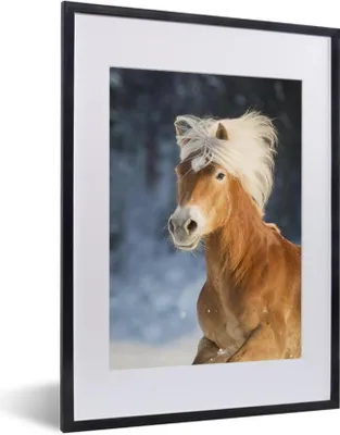 Produktbild von MuchoWow® MuchoWow® Gerahmtes Poster Haflingerpferd im Winter 30x40 cm - Poster mit zchwarzem Bilderrahmen - Wandposter Schlafzimmer