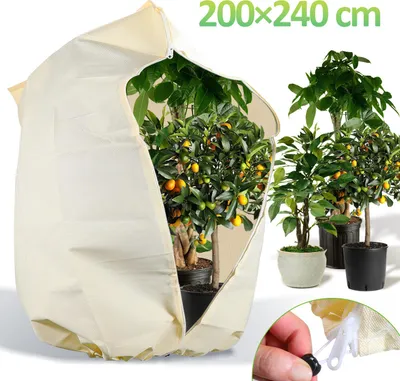 Produktbild von Jayseuw 2x Winterschutz 200x240cm für Kübelpflanzen Palmen Frostschutz Winterschutz Pflanzen Gartenvlies 100g/m²