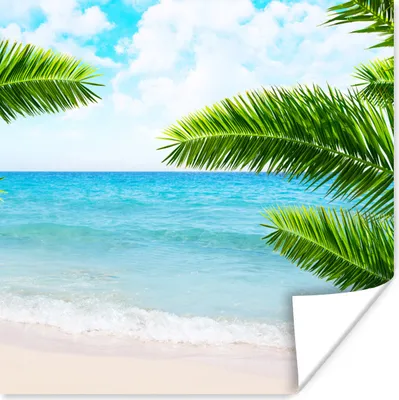 Produktbild von MuchoWow® Poster Tropisch - Palme - Strand 75x75 cm - Wand Dekoration