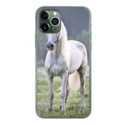 Produktbild von MuchoWow® Handyhülle Schutzhülle Hülle für iPhone 11 Pro Pferd - Licht - Morgen Silikon Softcase Handy Hülle - Handy