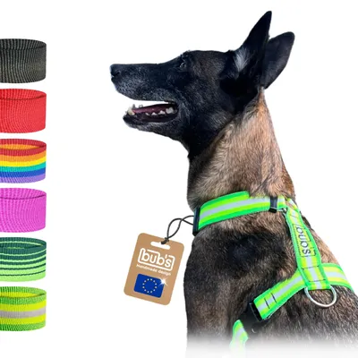 Imagen del producto de Arnés para perros con sistema antilanzamiento, ideal para perros grandes