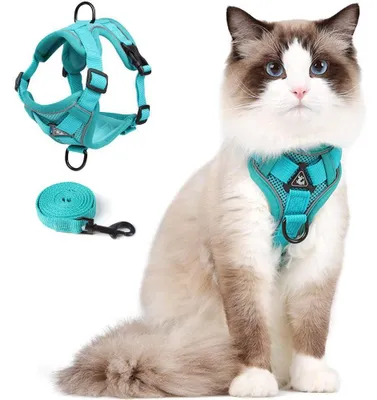 Katzengeschirr mit Leine, verstellbar, reflektierend, für kleine Katzen, L