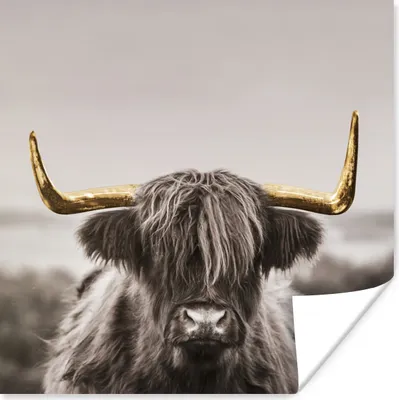 Produktbild von MuchoWow® Poster Schottischer Highlander - Gold - Hoorn 75x75 cm - Wand Dekoration