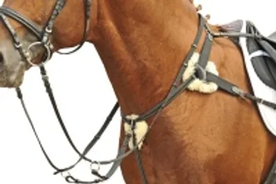 Produktbild von HKM Vorderzeuge mit Martingal und Lammfell, Größe:Pony, Farbe:schwarz
