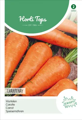 Produktbild von Speisemöhren Chantenay | Möhrensamen von Hortitops
