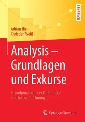 Obrázek produktu pro Analysis - Grundlagen und Exkurse