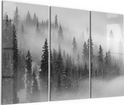 Produktbild von DEQORI Glasbild Echtglas 3x50x100 cm 'Nebelwald Stille' Wandbilder XXL groß