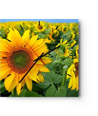 Produktbild von Wanduhr - Quadrat - Glasuhr - Wolken Sonnenblumen Plantagen - 30x30cm - Schleichendes Uhrwerk - Lautlos - zum Aufhängen bereit - Dekoration Modern - Wanddekoration aus Glas - C3AC30x30-1157
