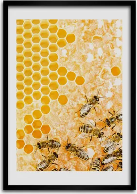 Produktbild von Bild - Bilderrahmen - Foto - 70 cm x 100 cm - MDF - Rahmen - Wandkunst - Arbeitsbienen