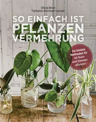 Image de So einfach ist Pflanzenvermehrung. Die besten Methoden für 60 Nutz- und Zimmerpflanzen.