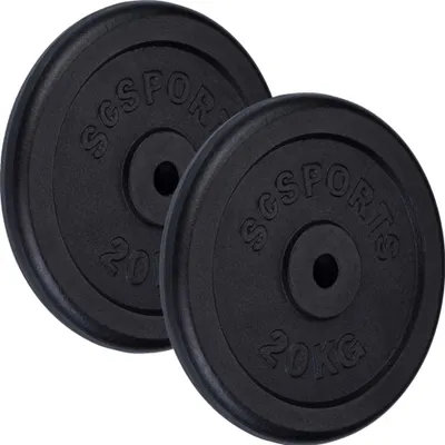Two black weight plates on a white background.