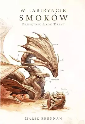 Imagen del producto de W labiryncie smoków