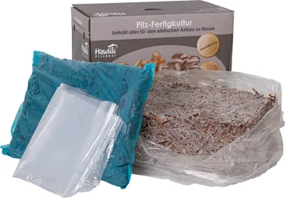 Produktbild von Pilzzuchtset Champignonkultur weiss - klein | Pilzzucht von Hawlik Pilzbrut