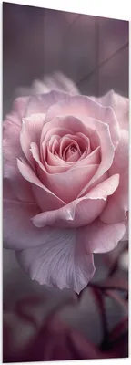 Produktbild von Glasbild 50x125cm in XXL für Wohnzimmer, Schlafzimmer Motiv Romantische Rosen