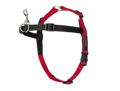 Immagine prodotto di Compagnia degli Animali Pettorina per cani Halti nero/rosso S (36-64 cm)