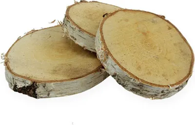 Produktbild von Birkenscheiben für kreative Dekoration und Bastelideen Hochzeit Weihnachten, 10 Stück