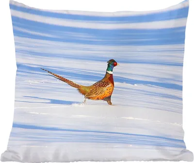 Produktbild von MuchoWow® Zierkissen Sofakissen Wohnzimmer Dekokissen 45x45 cm Fasan - Schnee - Winter - Schlafpolster - Polster für das Sofa