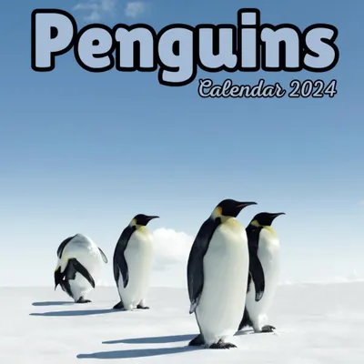 Pinguin Kalender 2024, Sept. 2023 - Dez. 2024, Monatsplaner, Tierdesign