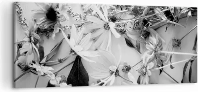 Produktbild von Bild auf Leinwand - Leinwandbild - Einteilig - Blumen Schwarzweiß Fotografie - 120x50cm - Wand Bild - Wanddeko - Wandbilder - Leinwanddruck - Bilder - Wanddekoration - Leinwand bilder - AB120x50-4740