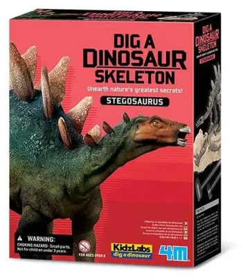Produktbild von 4m Stegosaurus-skelett Ausgrabungsset Durchsichtig Durchsichtig One Size