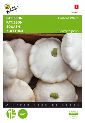 Produktbild von Zucchini Custard White | Zucchinisamen von Buzzy Seeds