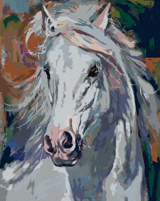 Immagine prodotto di Zuty - Dipingere con i numeri - CAVALLO BIANCO CON CRINERA SPETTINATA, 40x50 cm, senza cornice e senza tela tesa