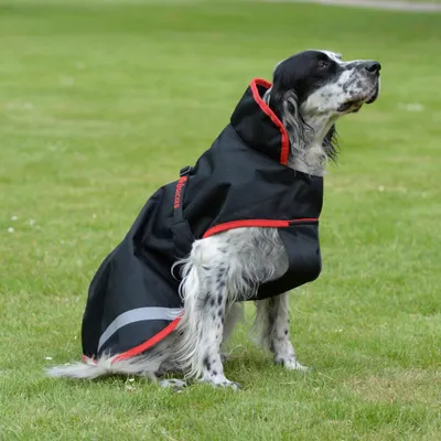 Image de Bucas Freedom Dog 50g - Cerise - Taille 30