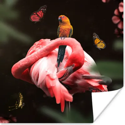 Produktbild von MuchoWow® Poster Flamingo - Tiere - Natur 50x50 cm - Wohnzimmerdekoration