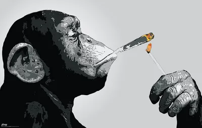 Produktbild von Poster Steez Smoking 91.5x61cm