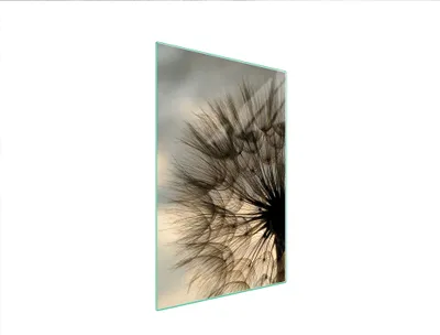 Produktbild von Herdabdeckplatte 35x52 Glaskeramikfeld Abdeckung Spritzschutz Glasplatte Deko Schneidebrett Löwenzahn Beige