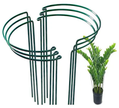 Productafbeelding van Set van 6 Metalen Plantensteunen voor de Tuin