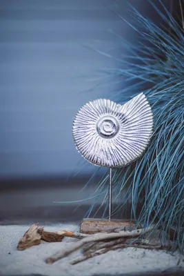 Produktbild von Metall Skulptur mit Holz-Fuß silber-braun Ammonite 14 x 25cm Dekofigur Tisch-Deko Maritim Mediterran Meeresdeko