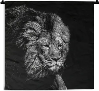 Produktbild von MuchoWow® Wandteppich Wandbehang Löwe - Tiere - Schwarz - Weiß 150x150 cm Tapisserie Dekoration Wandtuch - Wohnaccessoires - Modernes
