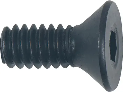 Image de KS TOOLS Vis à tête fraisée - 515.5550-R005P