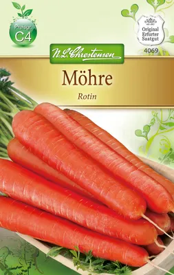 Artikelbild 1 von 'Gesundheitsmöhre Rotin' aus der Kategorie Möhrensamen