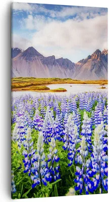 Produktbild von Bild auf Leinwand - Leinwandbild - Berge Wiese Blumen - 55x100cm - Wand Bild - Wanddeko - Leinwanddruck - Bilder - Kunstdruck - Wanddekoration - Leinwand bilder - Wandkunst - PA55x100-4114